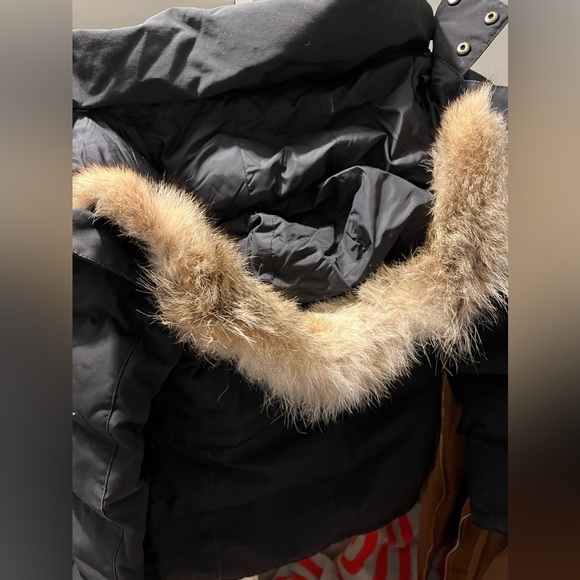 Black Canada goose size XS - Picture 4 of 6